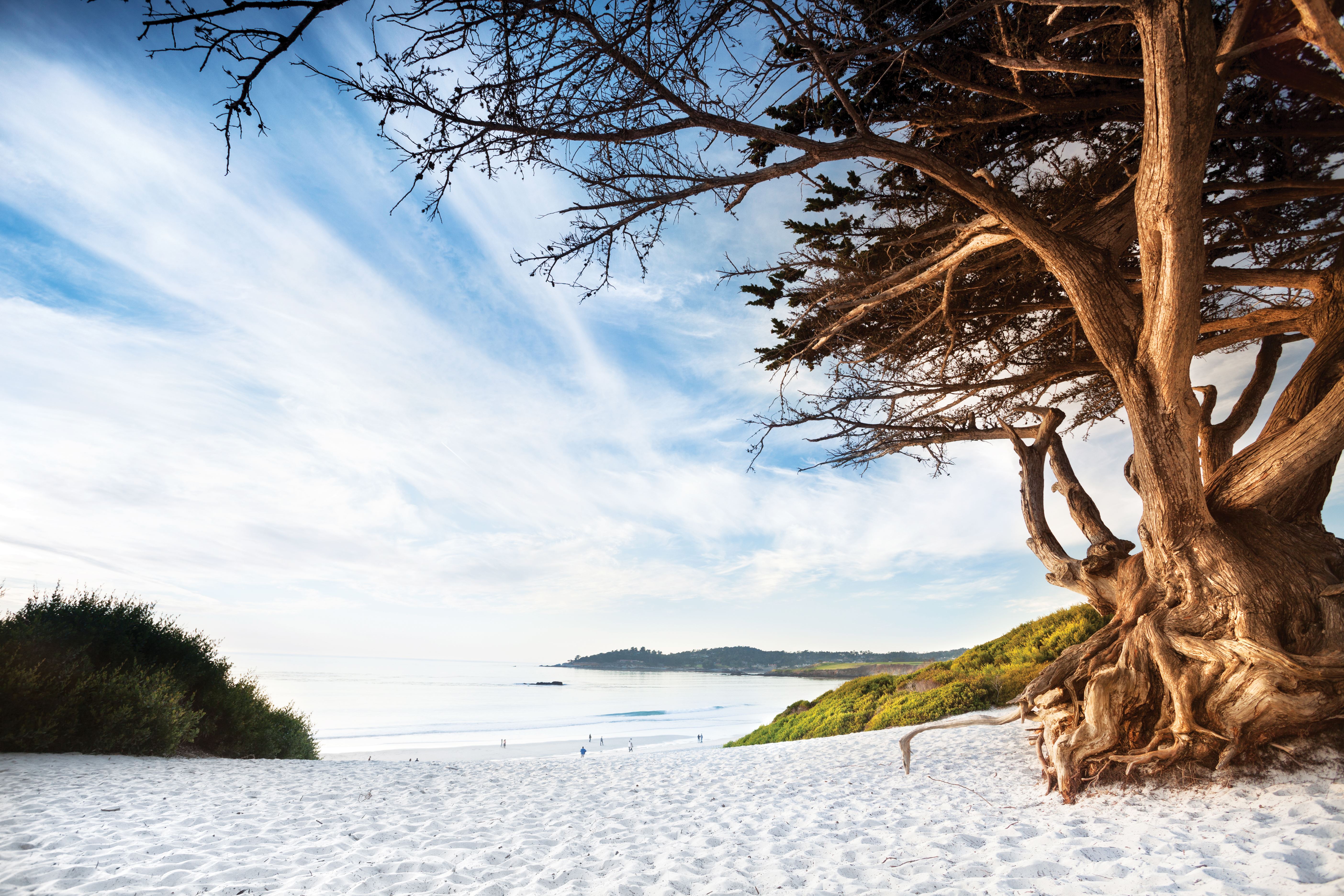 Visit Carmel-by-the-Sea